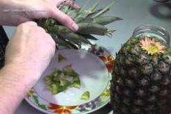 Как вырастить ананас - тропическая экзотика в домашних условиях